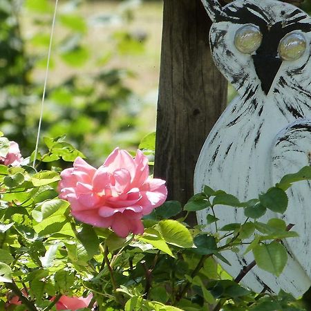 Le Jardin De Marie-Jeanne Bed & Breakfast Achy Exterior foto