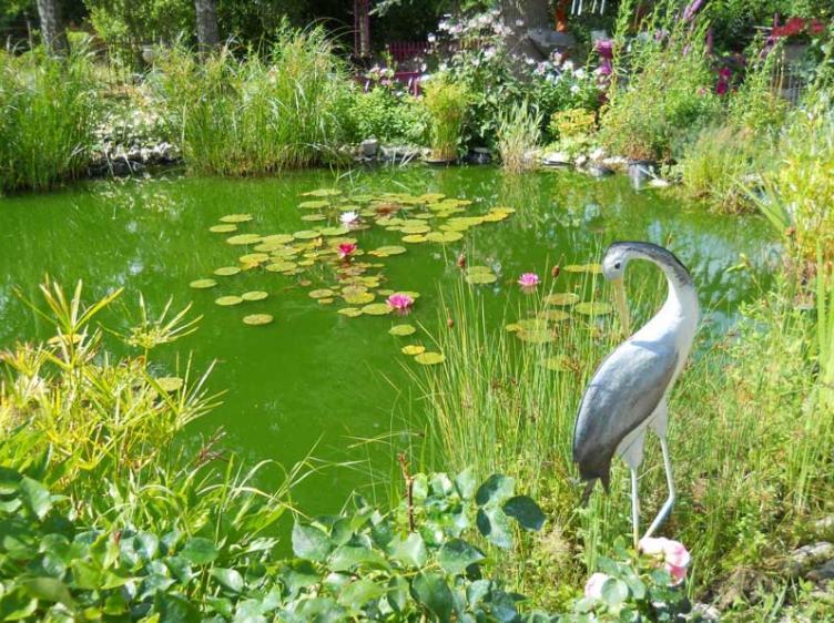 Le Jardin De Marie-Jeanne Bed & Breakfast Achy Exterior foto